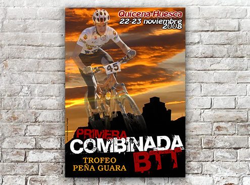 Cartel BTT 2008